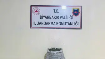 Diyarbakır genelinde narkotik operasyonları 17 gözaltı ile 20 kiloya yakın esrar ele geçti