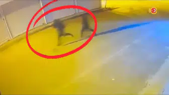 Diyarbakır'da 16 farklı suça karışan organize yapıya KOM baskını 15 kişi cezaevinde