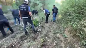 Diyarbakır Hevsel Bahçeleri'nde şafak vakti narkotik operasyonu 12 bin kök kenevir imha