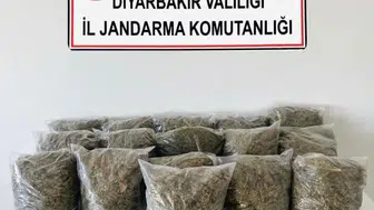 Diyarbakır genelinde narkotik operasyonu 38,5 kilo esrar ile 11 gözaltı kararı