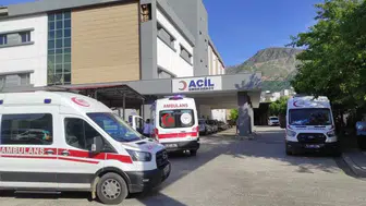 Kulp ilçesinde otomobil şarampole devrildi Feci kazada anne ve küçük oğlu can verdi