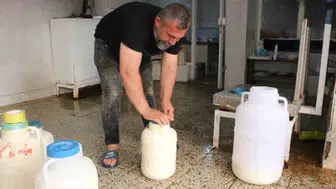 Diyarbakır'da peynirde kış hazırlığı bereketi Fiyatlar bu sezon sabit kaldı