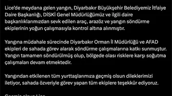Diyarbakır Lice'deki örtü yangını ekiplerin yoğun müdahalesiyle söndürüldü Soğutma sürüyor