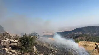 Hazro’da korkutan örtü yangını 20 hektarlık alan küle döndü, inceleme başladı