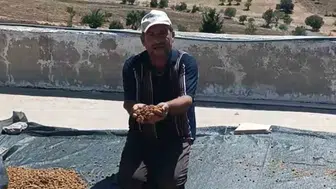 Diyarbakır Çermik'te kurutulmuş dut bereketi Tezgahlardaki yerini aldı