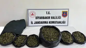 Diyarbakır genelinde narkotik baskınları 119 farklı noktada 41 kilo esrar ele geçirildi