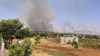 Dicle kırsalında korkutan örtü yangını Alevler Tepebaşı ve Nohutlu hattına yayıldı