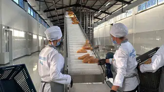 Diyarbakır Büyükşehir'in yeni ekmek fabrikası Bağlar'da üretime başladı İlk etapta 40 bin