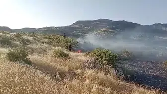 Dicle ilçesinde korkutan örtü yangını Alevler rüzgarın etkisiyle geniş alana yayıldı