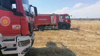 Diyarbakır'ın Bismil ve Çınar ilçelerinde yükselen alevler itfaiye ekiplerince söndürüldü