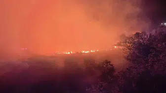 Lice'de ormanlık alanda gece vakti çıkan yangın tehdidi büyüyor Evlere yaklaşıyor