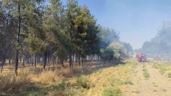 Dicle Üniversitesi Onkoloji Hastanesi çevresinde korkutan yangın Ekipler müdahale etti