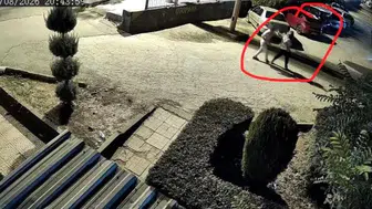 Sümerpark'ta çocuğunun gözü önünde eşini vuran zanlı, adliyeye sevk edildi