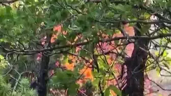 Dicle ve Hani arasındaki dağlık bölgede yangın alarmı Ekipler zorlu arazide mücadele ediyor