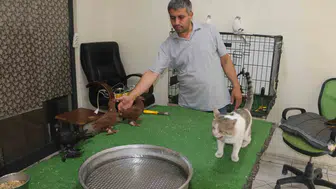 Bağlar'daki güvercin otelinin sıra dışı sakini Vejetaryen kedi Bulut kuşları koruyor