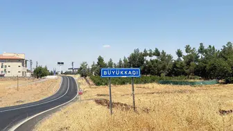 Diyarbakır'ın Sur ilçesinde yürek burkan olay Kedi ısırması sonucu kuduz çıktı