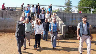 Diyarbakır Hayvan Borsası'nda kış hazırlığı: Eşbaşkan Bucak'tan kalıcı tesis müjdesi