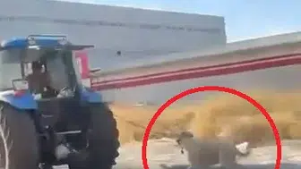 Diyarbakır Bağlar'da vicdansızlık: Traktöre iple bağladığı köpeği koşturdu