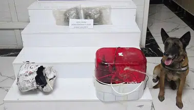 Diyarbakır'da operasyon: Esrarı akıl almaz bir yere saklamışlar