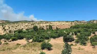 Dicle'de ağaçlık alanda yangın paniği: Küpetaşı Mezrası'nda ekipler seferber oldu