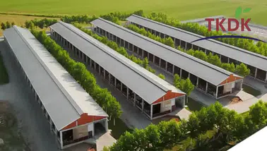 Diyarbakır'a tarım ve hayvancılıkta 60 milyon TL'lik proje: Yarısından fazlasına hibe desteği