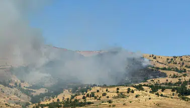 Çüngüş Çınarköy'de korkutan örtü yangını Alevler rüzgarın etkisiyle hızla yayıldı