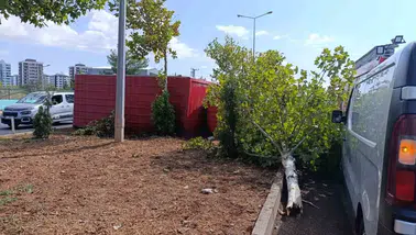 Diyarbakır Sur'da 4 araç birbirine girdi: Sıkışan sürücüyü itfaiye kurtardı