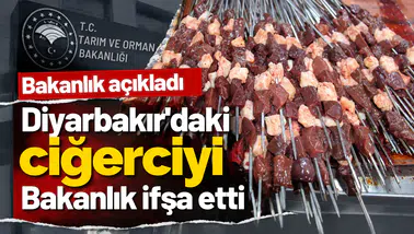 Diyarbakır'daki ciğerci ifşa listesine girdi: Adana Kebap'ta bakın ne çıktı!