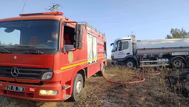 Çınar ilçesindeki anız yangını doğayı vurdu Elektrik direğindeki iki leylek telef oldu