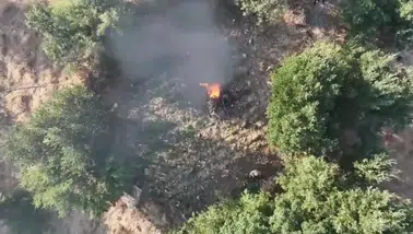 Diyarbakır'ın beş ilçesinde narkotik operasyonu Milyonlarca kök kenevir imha edildi