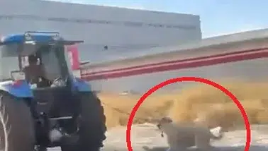 Diyarbakır Bağlar'da vicdansızlık: Traktöre iple bağladığı köpeği koşturdu