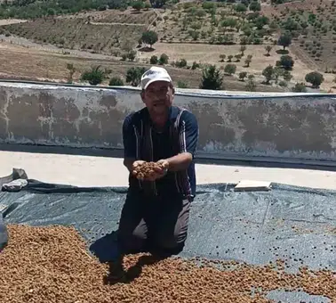 Diyarbakır Çermik'te kurutulmuş dut bereketi Tezgahlardaki yerini aldı