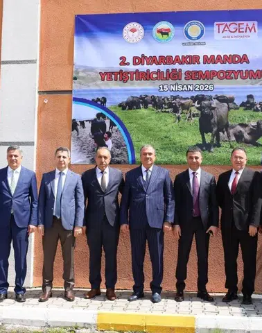 Diyarbakır'da manda yetiştiriciliğinde yeni vizyon: Yol haritası çizildi