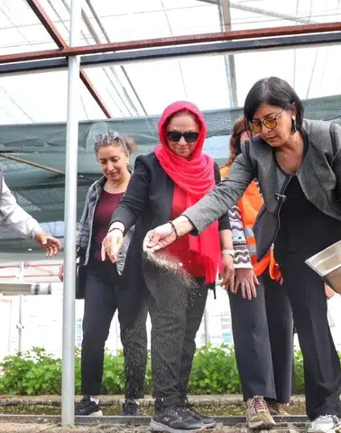 Diyarbakır'da binlerce yerli sebze ve meyve tohumu toprakla buluştu