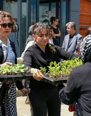 Diyarbakır'da vatandaşlara ücretsiz fide dağıtılıyor: Domates, biber, salatalık revaçta