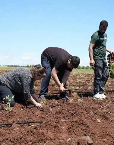 Diyarbakır'da kolektif üretim başladı: 20 dönümlük alanda tarım komünü kuruldu