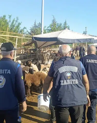 Diyarbakır'da hayvan pazarına Zabıta denetimi: Hijyen ve güvenlik ön planda