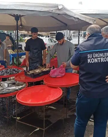 Diyarbakır'da yasak dönemde balık satanlara para cezası kesildi