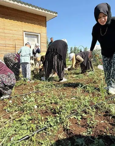 Diyarbakır'da kadınlar hasat sevincini yaşadı: İşte yetiştirdikleri ürünler