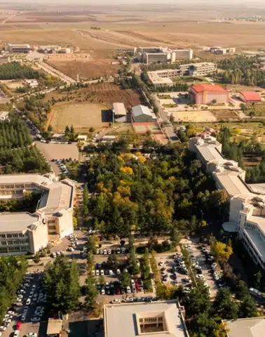 Dicle Üniversitesi'nin dev personel alımıyla ilgili kritik değişiklik: İşte son kontenjanlar