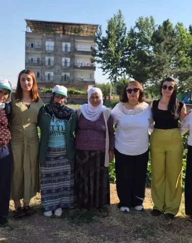 Diyarbakır'da belediyenin tarlasını kadınlar ekip biçecek: Kolektif üretim başladı