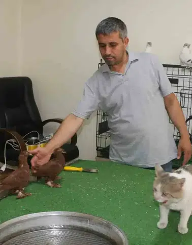 Bağlar'daki güvercin otelinin sıra dışı sakini Vejetaryen kedi Bulut kuşları koruyor