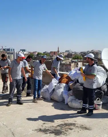 Diyarbakır'da çatısı çöplüğe dönen eve operasyon: Temizlenmesi saatler sürdü