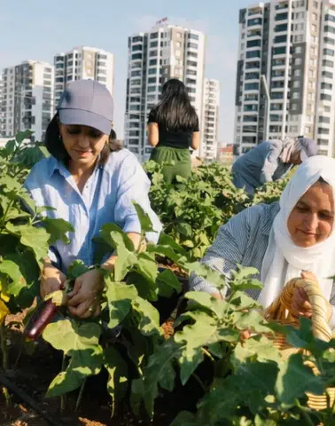 Diyarbakır'da kadınlar yetiştirdikleri ürünleri hasat etti: Hedefler büyüdü