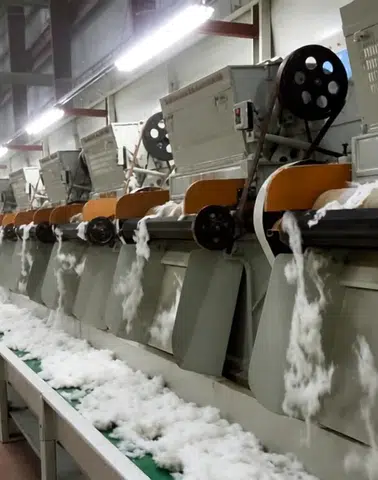 Diyarbakır'da çırçır sezonu öncesi kritik toplantı: Yeni ücretler oy birliğiyle kabul edildi
