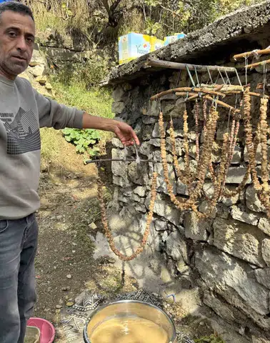 Diyarbakır Çermik'te geleneksel bağ bozumu mesaisi: Kışlık hazırlıklar başladı