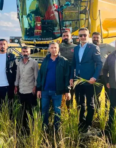 Diyarbakır'da Karacadağ Pirinci'nde üreticinin isyanı: "Bize bir şey kalmıyor"