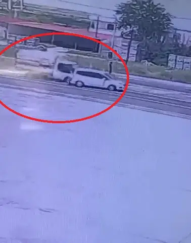 Diyarbakır-Silvan karayolunda kurbanlık sevkiyatı kazası 4 kişi yaralandı