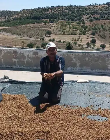 Diyarbakır Çermik'te kurutulmuş dut bereketi Tezgahlardaki yerini aldı