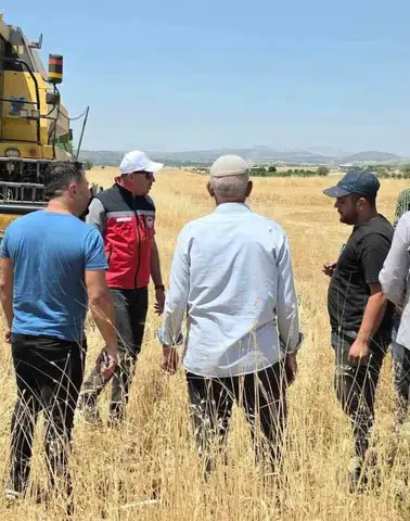 Diyarbakır Dicle'de çiftçilere müjde: Yüzde 75 hibeli mercimek tohumu desteği başladı
